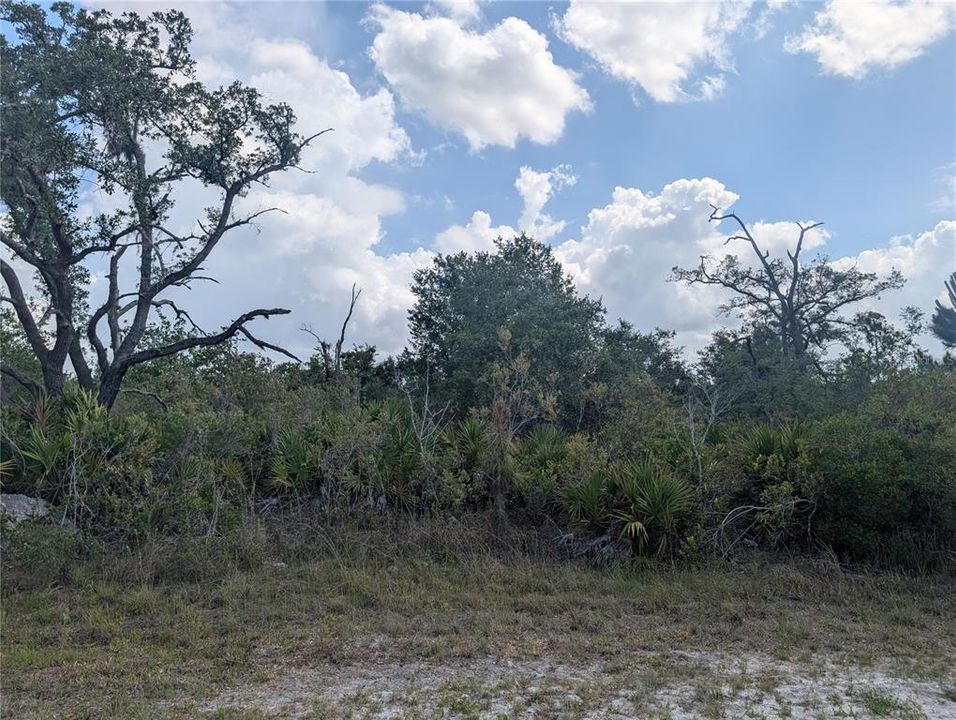 For Sale: $15,000 (0.60 acres)
