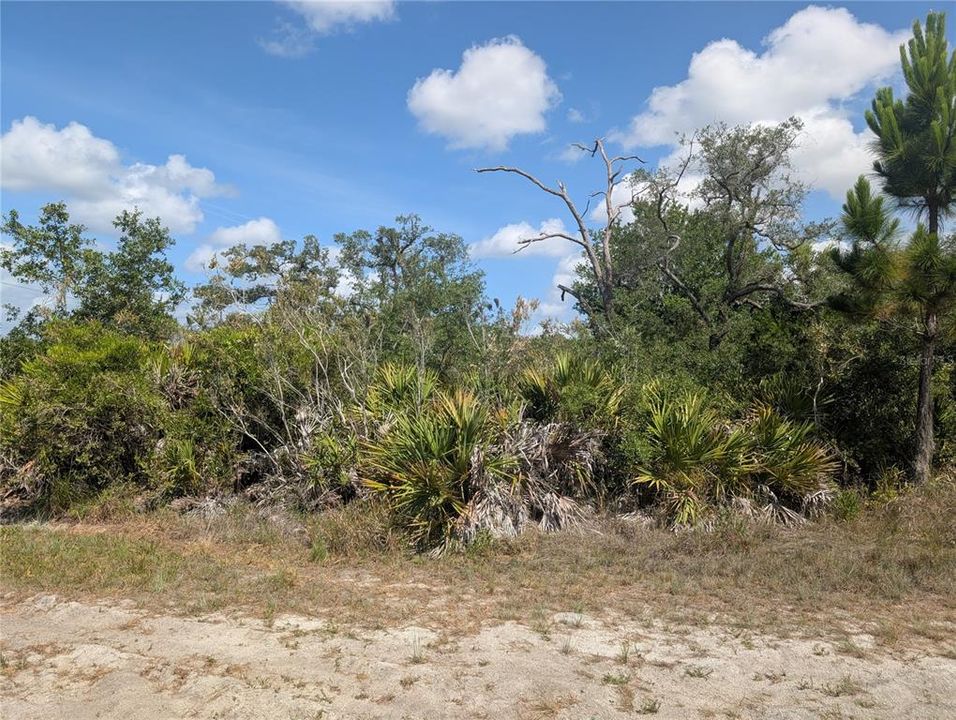 For Sale: $15,000 (0.60 acres)