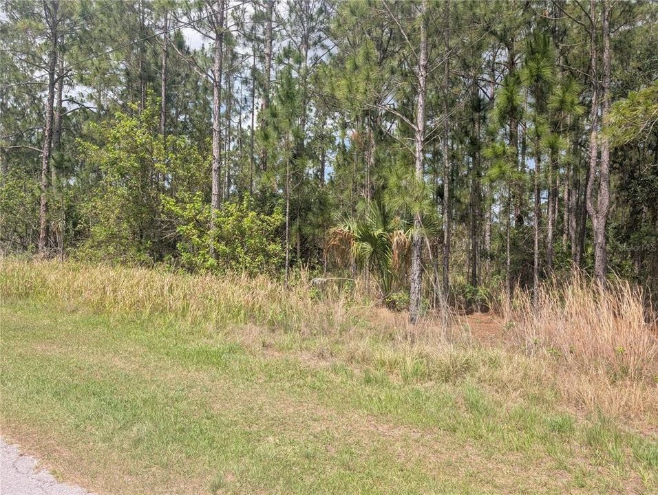 For Sale: $80,000 (0.50 acres)