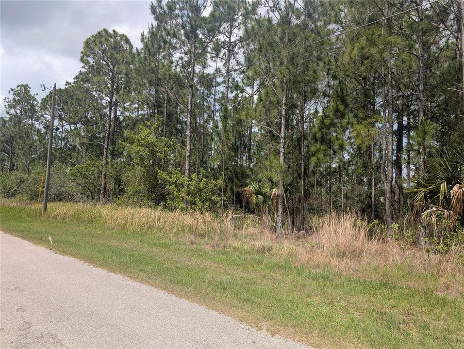 For Sale: $80,000 (0.50 acres)