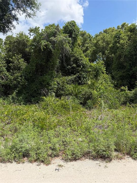 For Sale: $20,000 (0.23 acres)