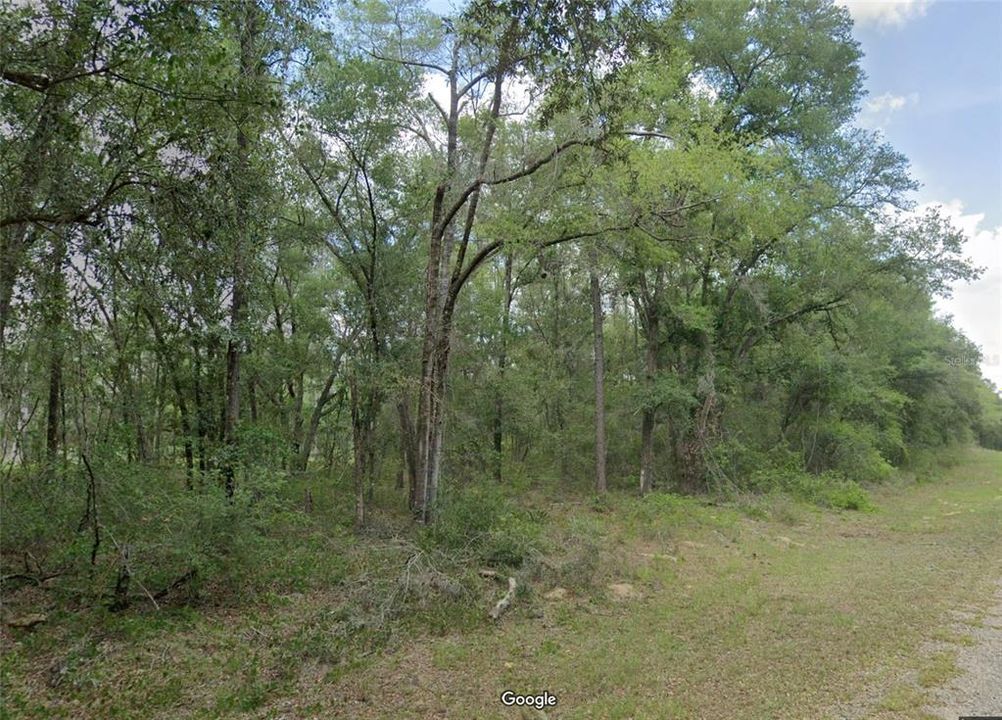 For Sale: $14,900 (0.23 acres)