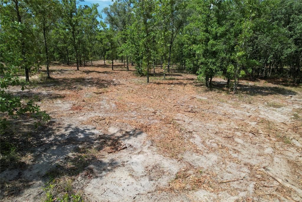 For Sale: $114,995 (5.25 acres)