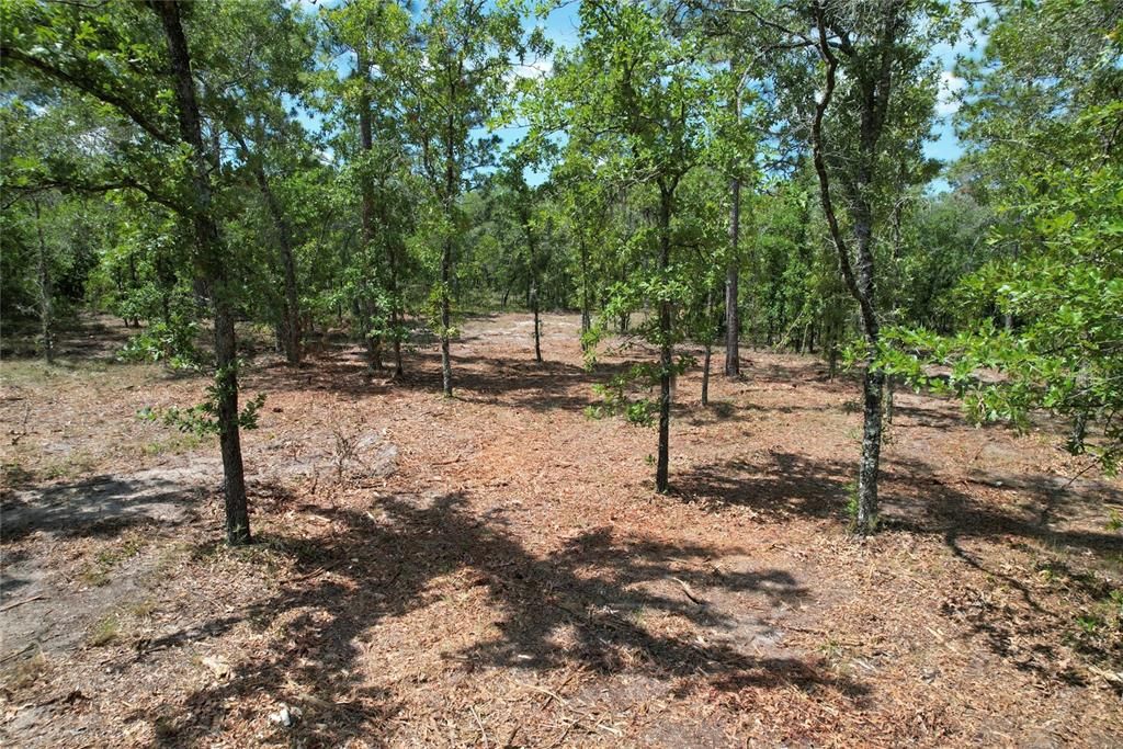 For Sale: $114,995 (5.25 acres)