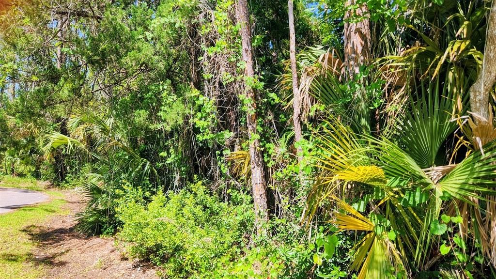 待售: $70,000 (0.24 acres)