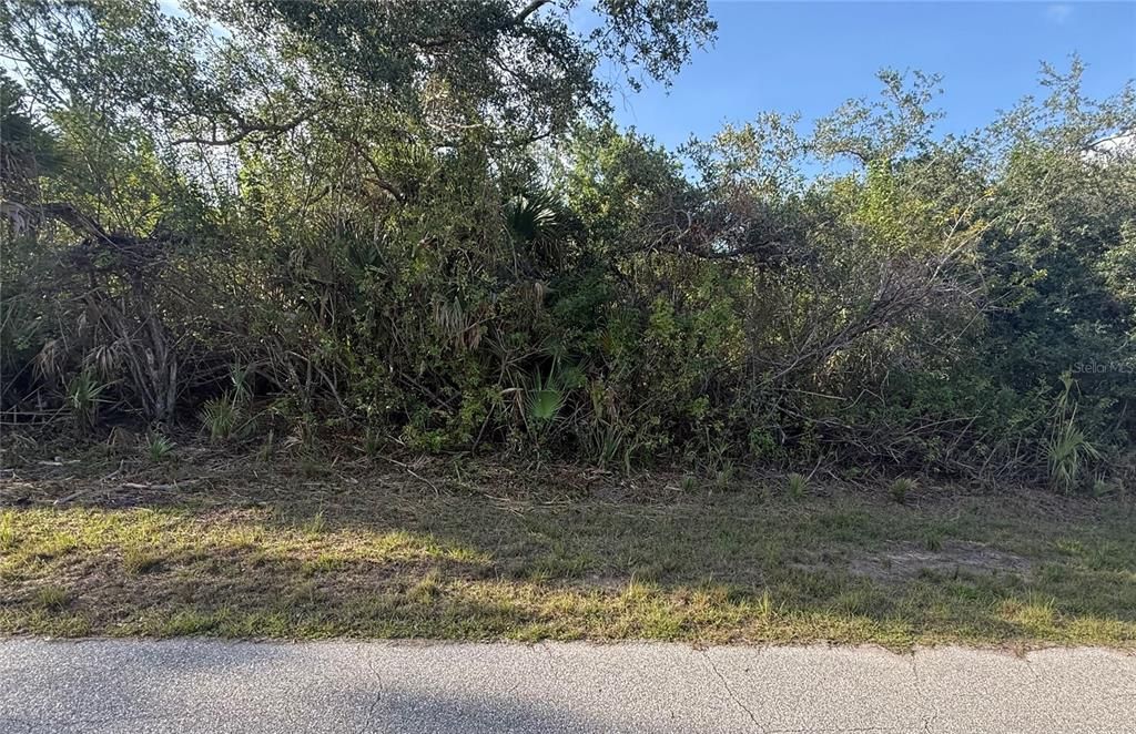 На продажу: $35,000 (0.23 acres)