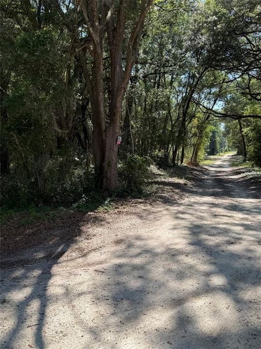 待售: $74,900 (1.25 acres)