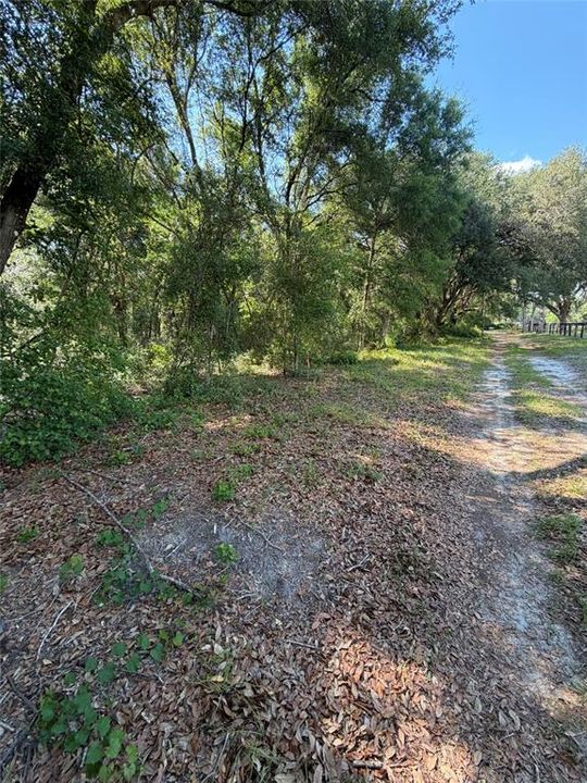 待售: $74,900 (1.25 acres)
