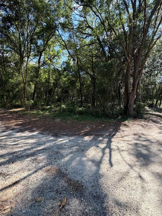 待售: $74,900 (1.25 acres)