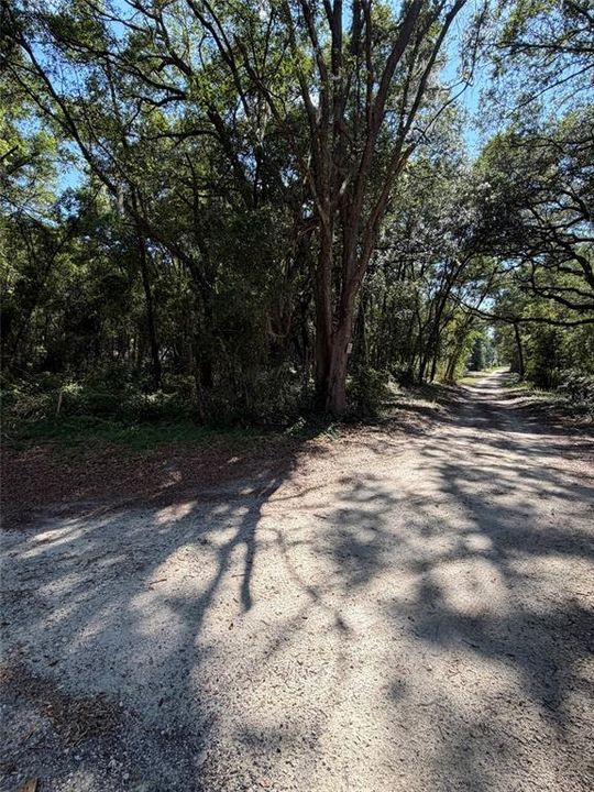 待售: $74,900 (1.25 acres)
