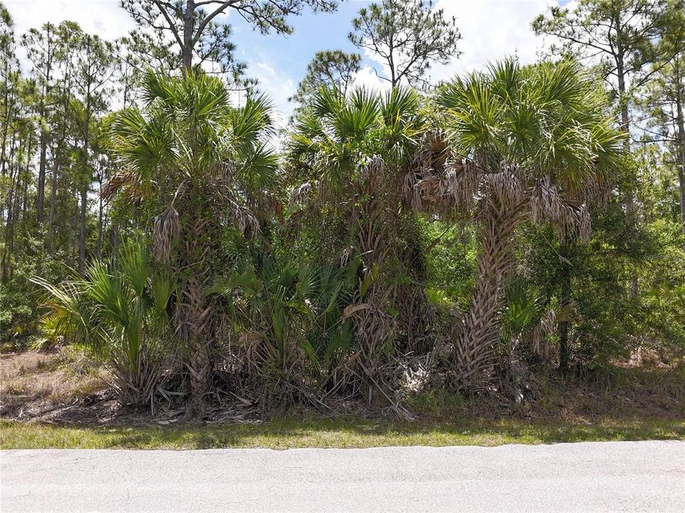 En Venta: $12,000 (0.16 acres)