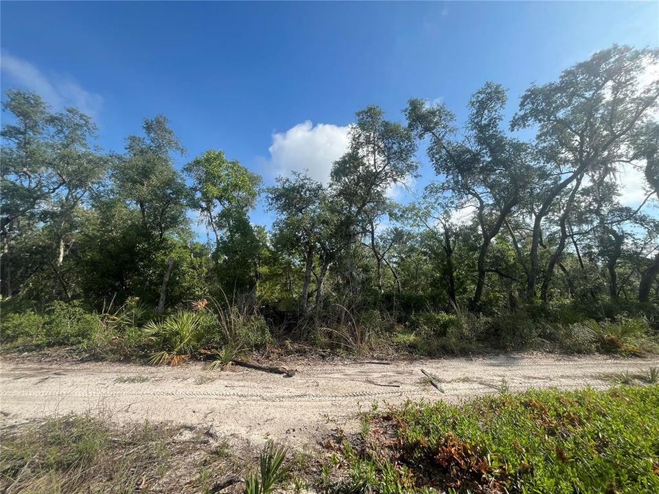 For Sale: $6,490 (0.21 acres)