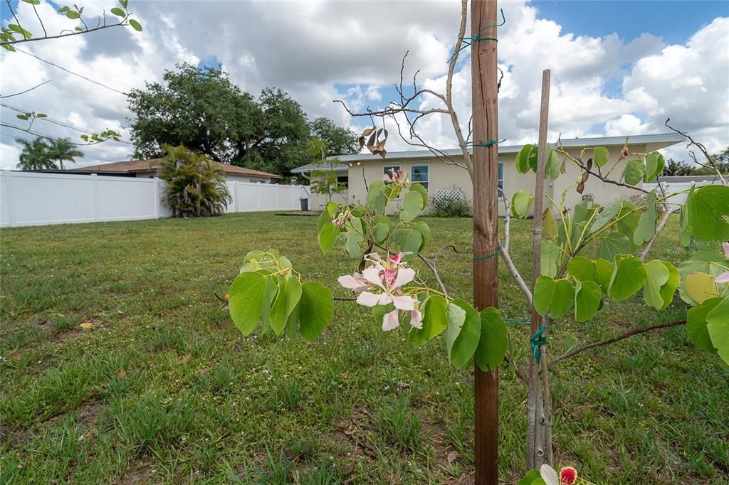 Activo con contrato: $240,000 (3 camas, 2 baños, 1824 Pies cuadrados)