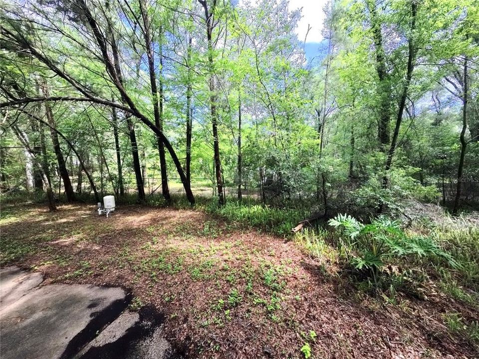 For Sale: $290,000 (2 beds, 1 baths, 1251 Square Feet)