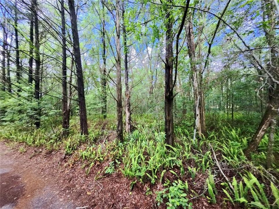 For Sale: $290,000 (2 beds, 1 baths, 1251 Square Feet)