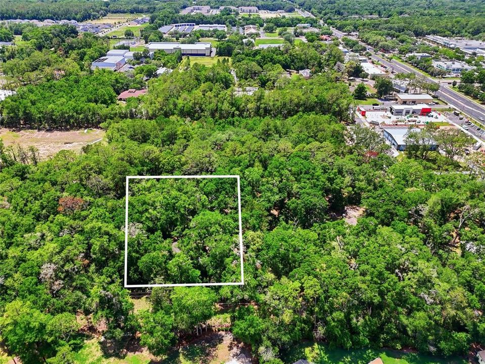 For Sale: $290,000 (2 beds, 1 baths, 1251 Square Feet)
