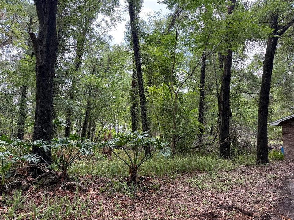 For Sale: $290,000 (2 beds, 1 baths, 1251 Square Feet)