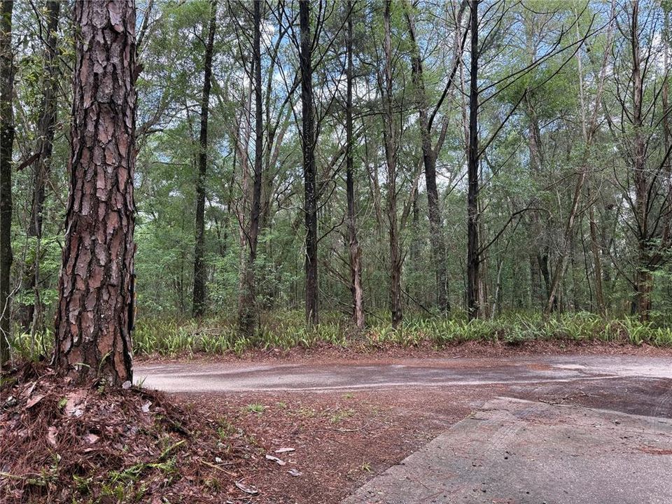 For Sale: $290,000 (2 beds, 1 baths, 1251 Square Feet)