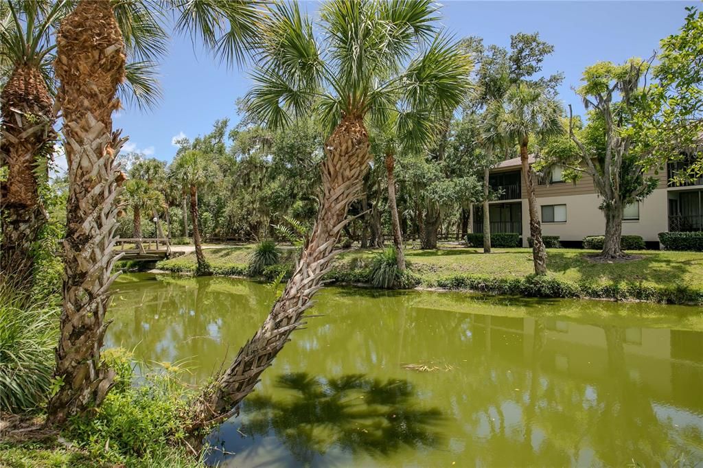 En Venta: $200,000 (2 camas, 2 baños, 1027 Pies cuadrados)