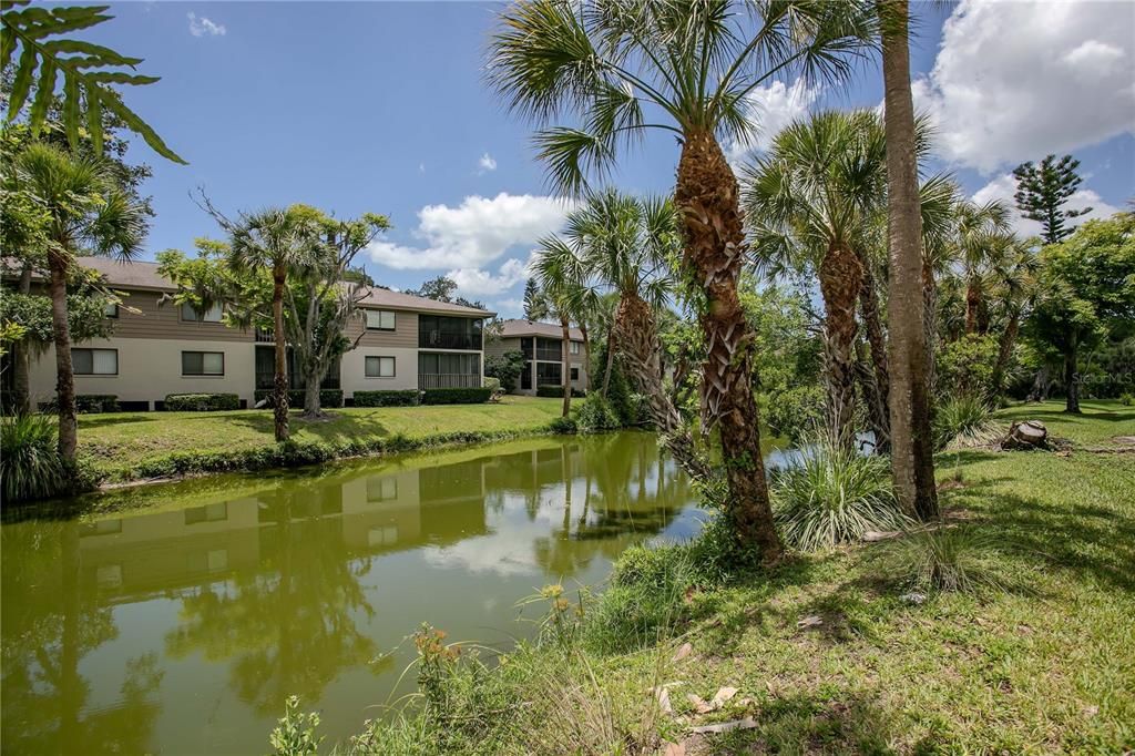En Venta: $200,000 (2 camas, 2 baños, 1027 Pies cuadrados)