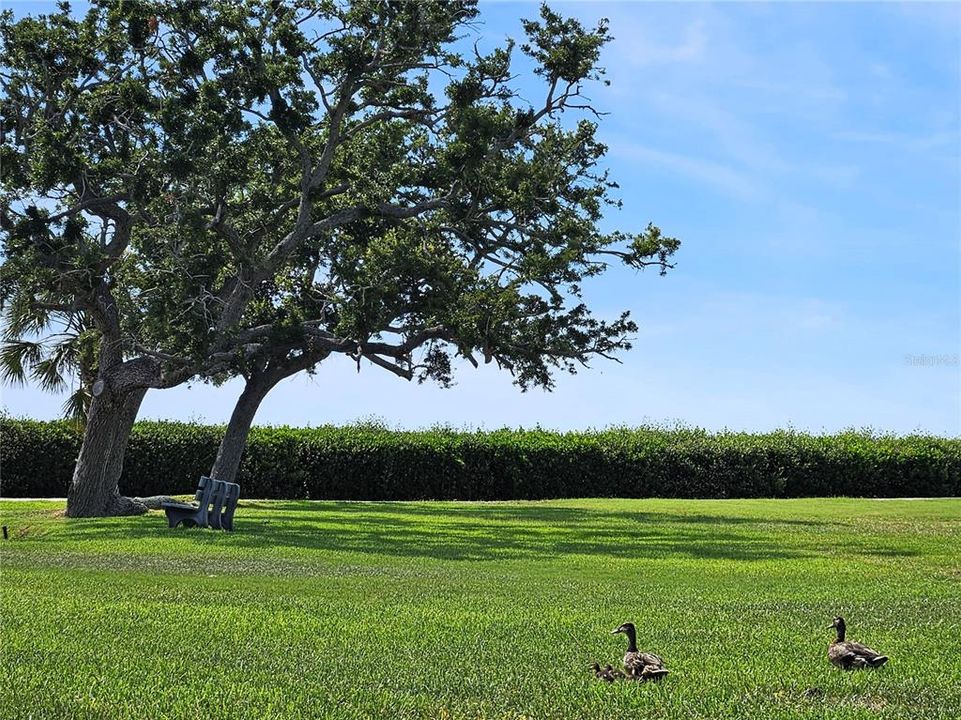 For Sale: $275,000 (2 beds, 2 baths, 1065 Square Feet)