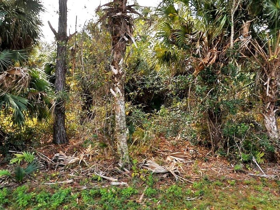 For Sale: $51,900 (0.46 acres)