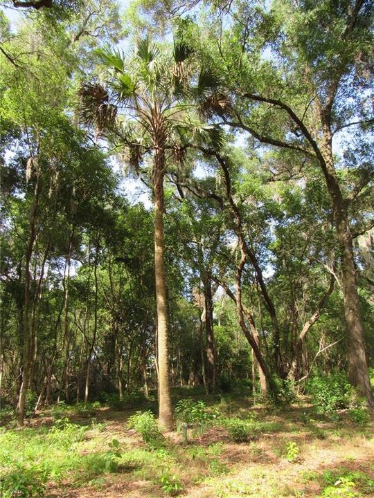 待售: $219,900 (2.50 acres)