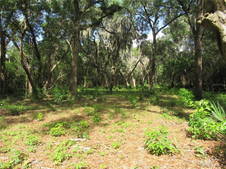 待售: $219,900 (2.50 acres)