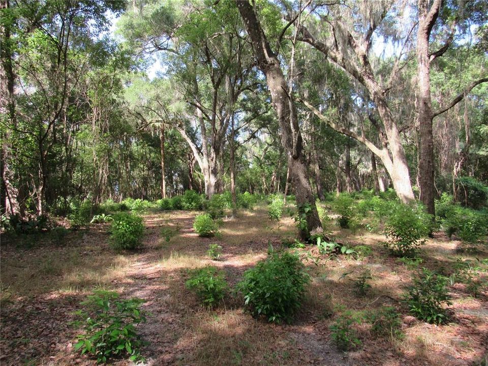 待售: $219,900 (2.50 acres)