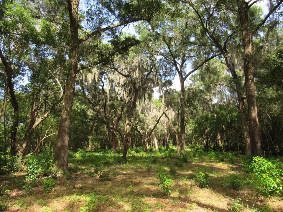 待售: $219,900 (2.50 acres)