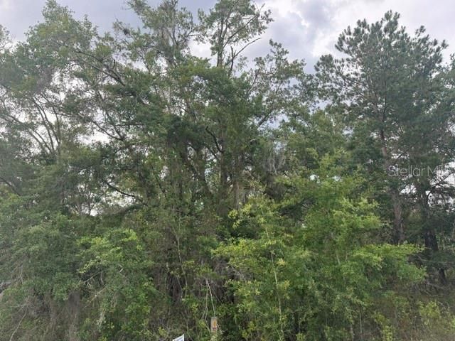 For Sale: $65,000 (1.00 acres)