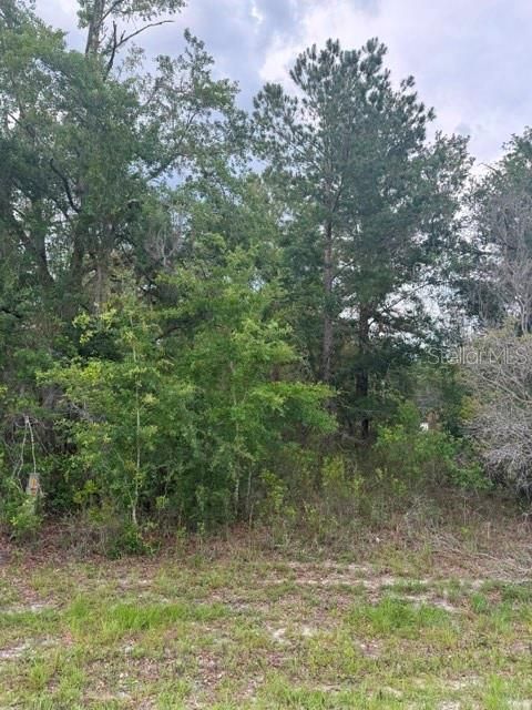 For Sale: $65,000 (1.00 acres)