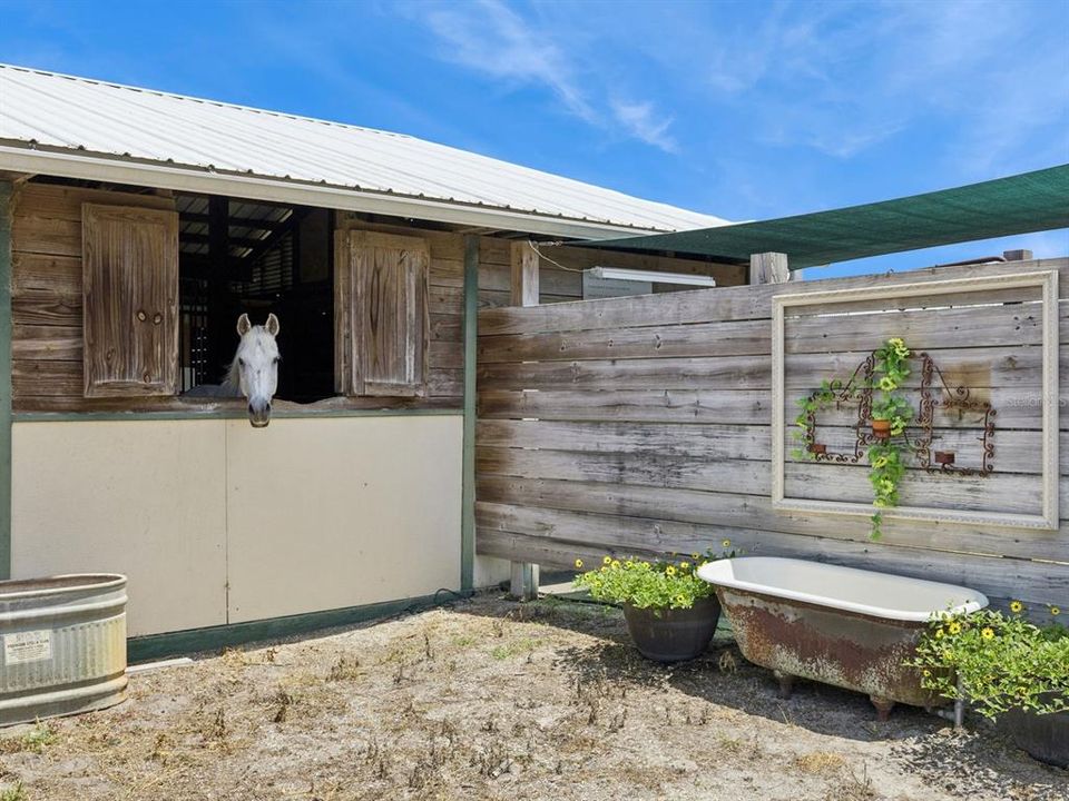 En Venta: $3,000,000 (3 camas, 2 baños, 1392 Pies cuadrados)