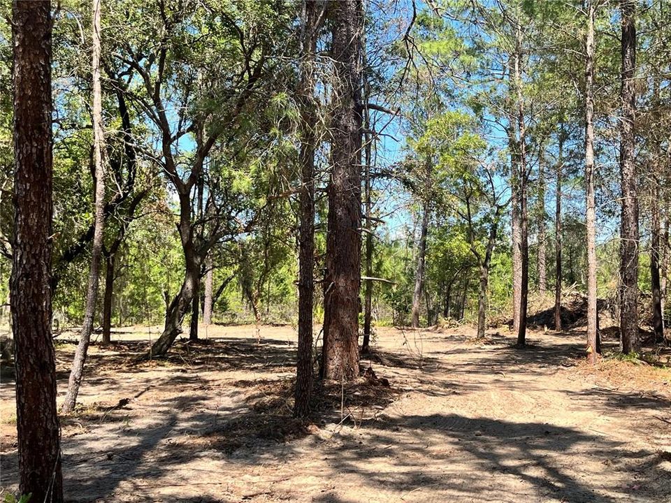 Recently Sold: $34,900 (1.01 acres)