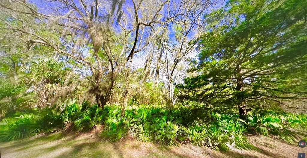 For Sale: $35,000 (0.61 acres)