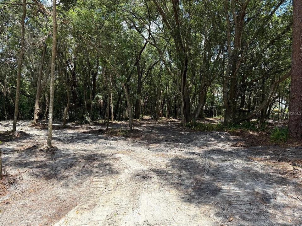 For Sale: $139,000 (0.25 acres)