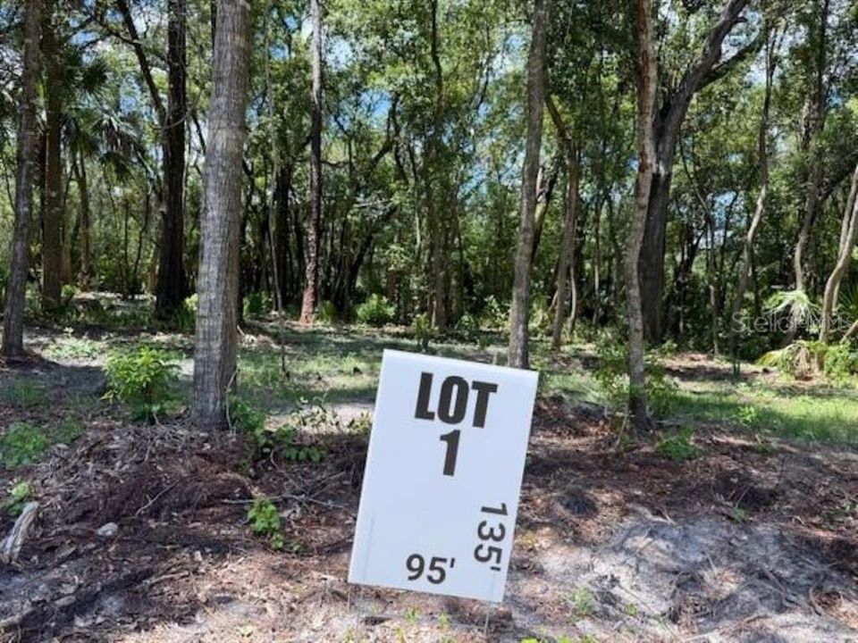 For Sale: $139,000 (0.25 acres)