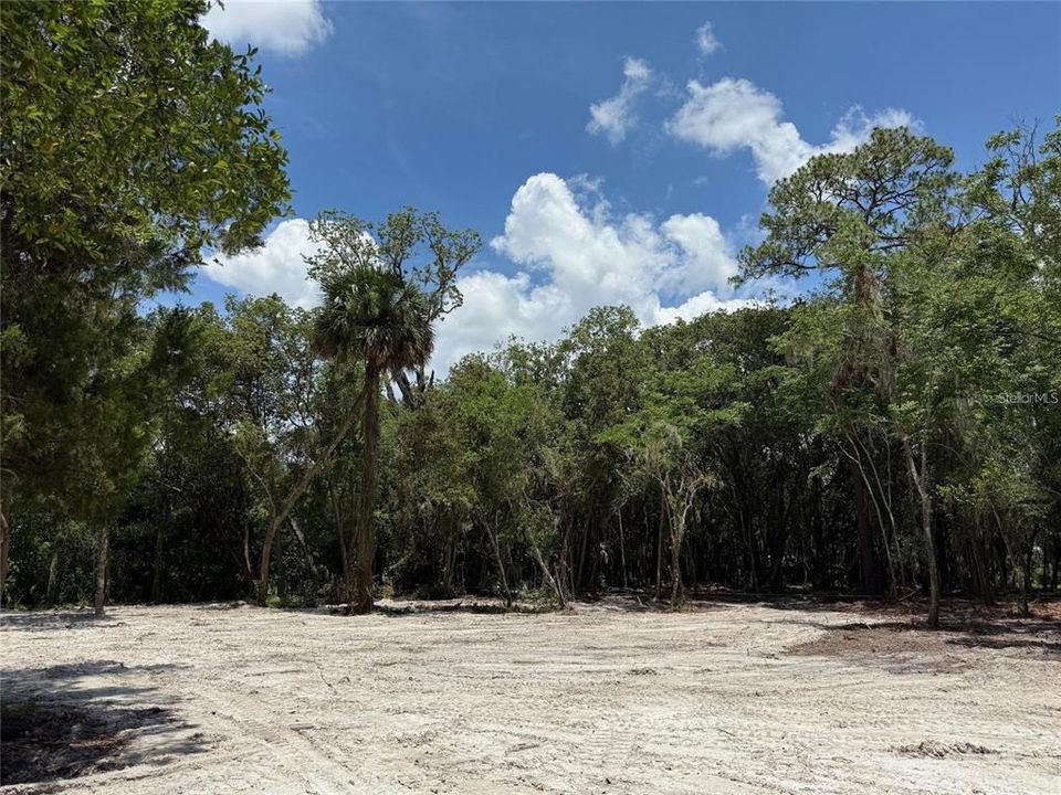 For Sale: $139,000 (0.25 acres)