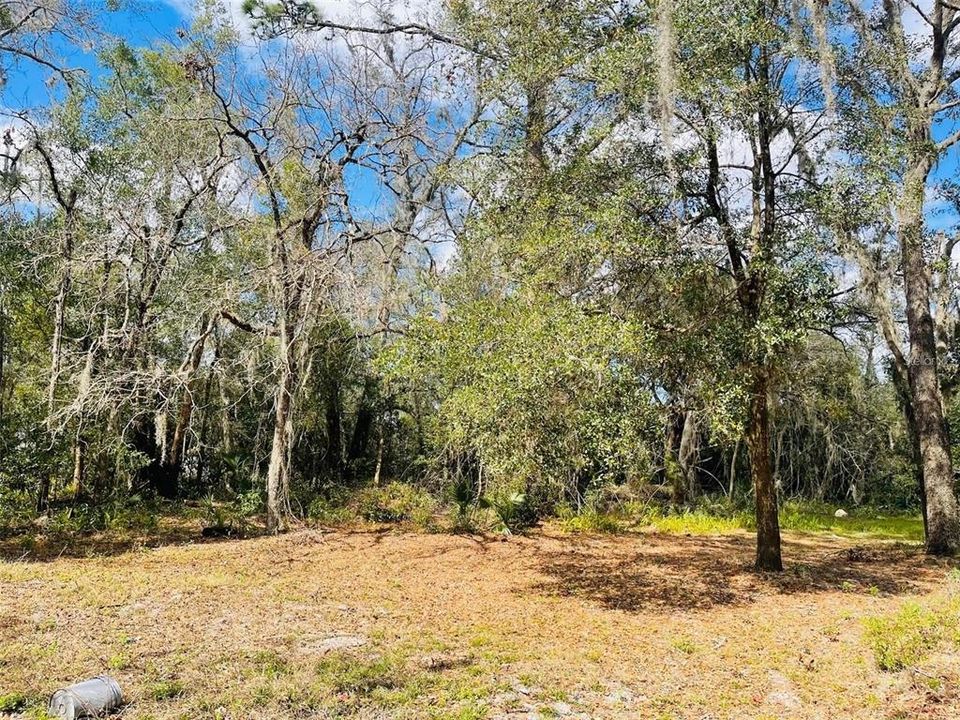 For Sale: $139,900 (0.25 acres)