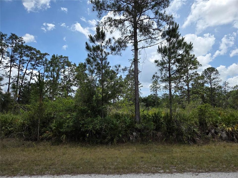 For Sale: $23,000 (1.00 acres)