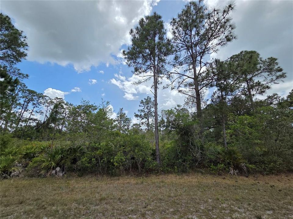 For Sale: $23,000 (1.00 acres)