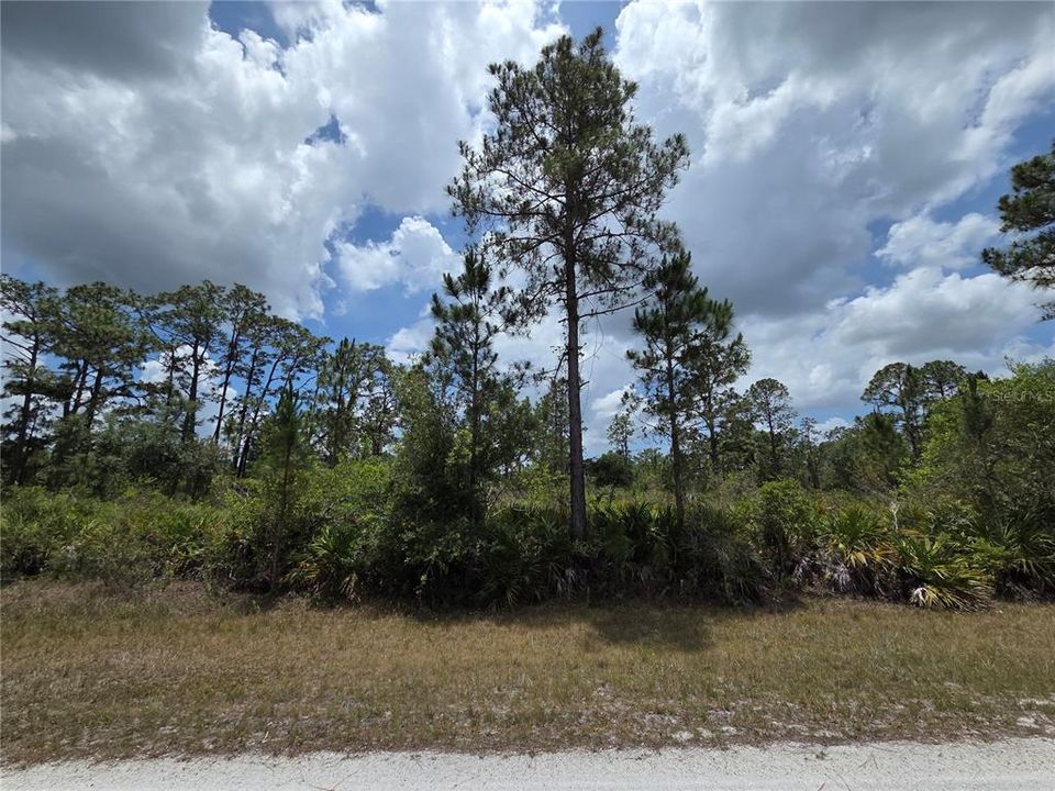 For Sale: $23,000 (1.00 acres)