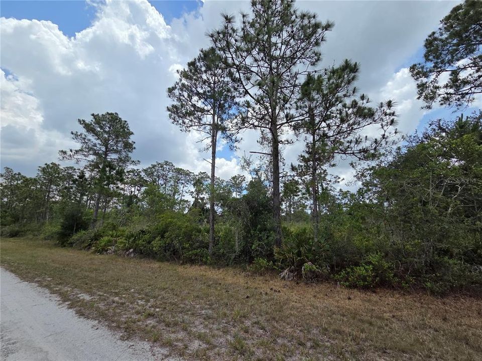 For Sale: $23,000 (1.00 acres)