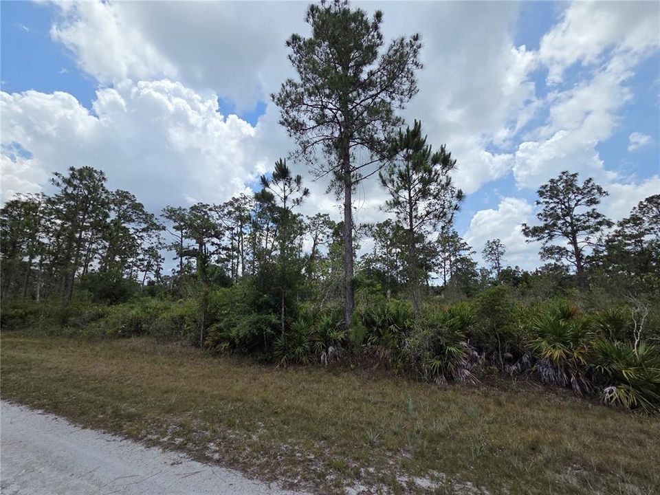 For Sale: $23,000 (1.00 acres)