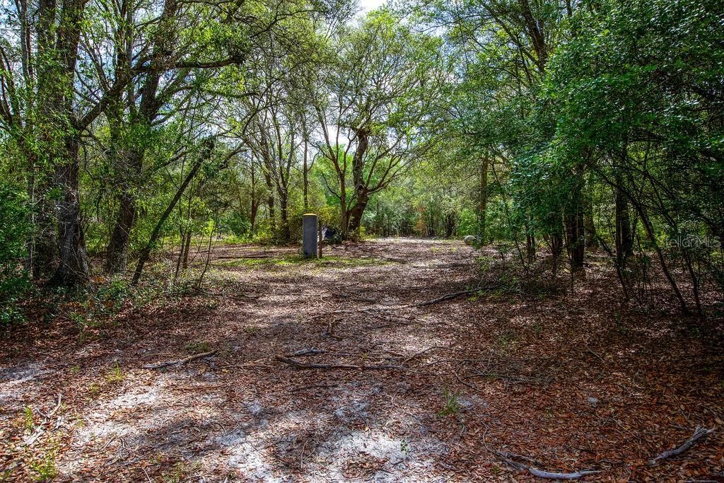 For Sale: $110,000 (4.73 acres)