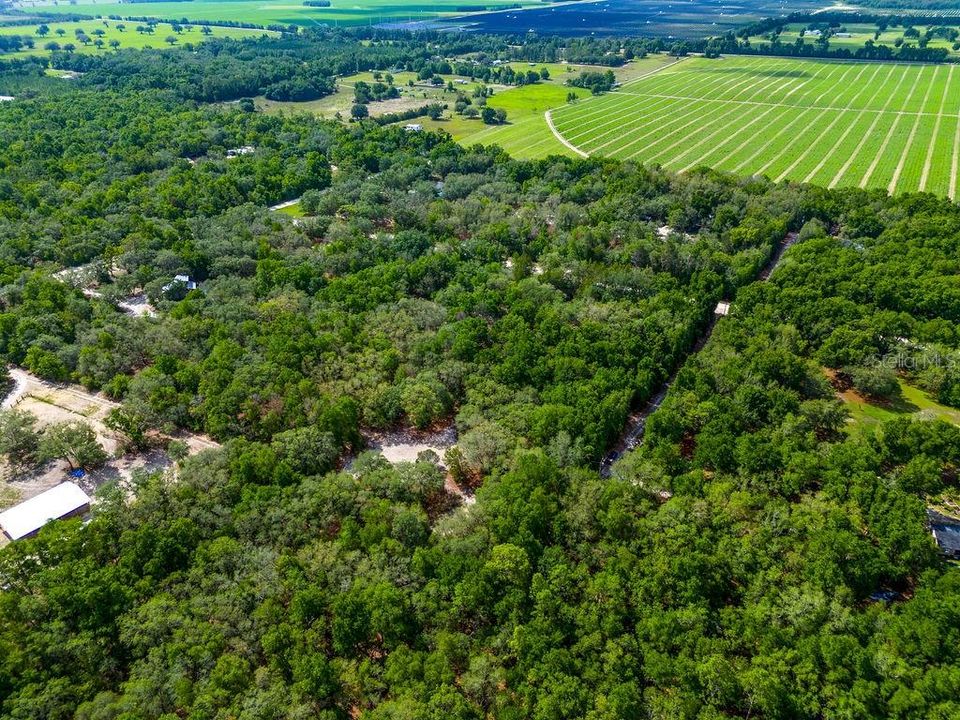 For Sale: $110,000 (4.73 acres)