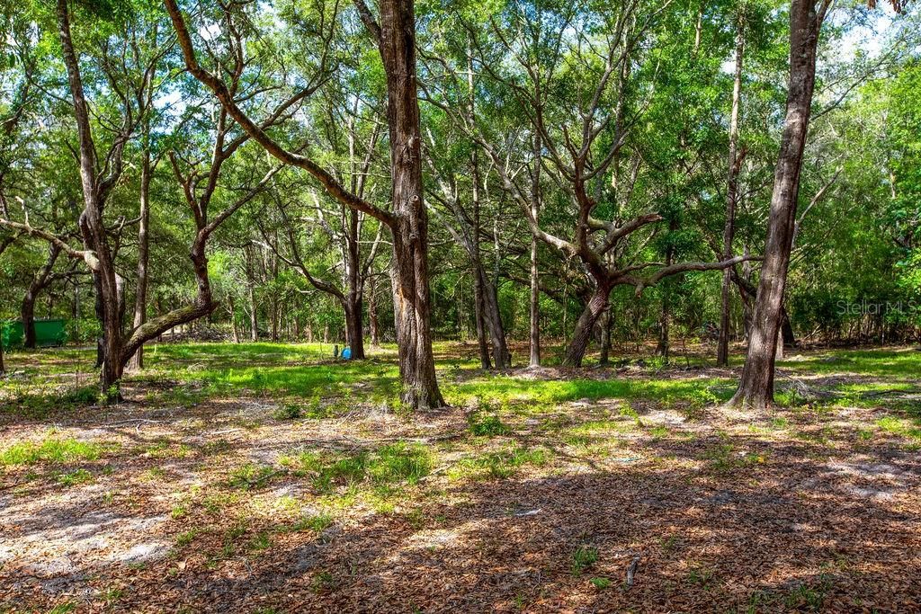 For Sale: $110,000 (4.73 acres)