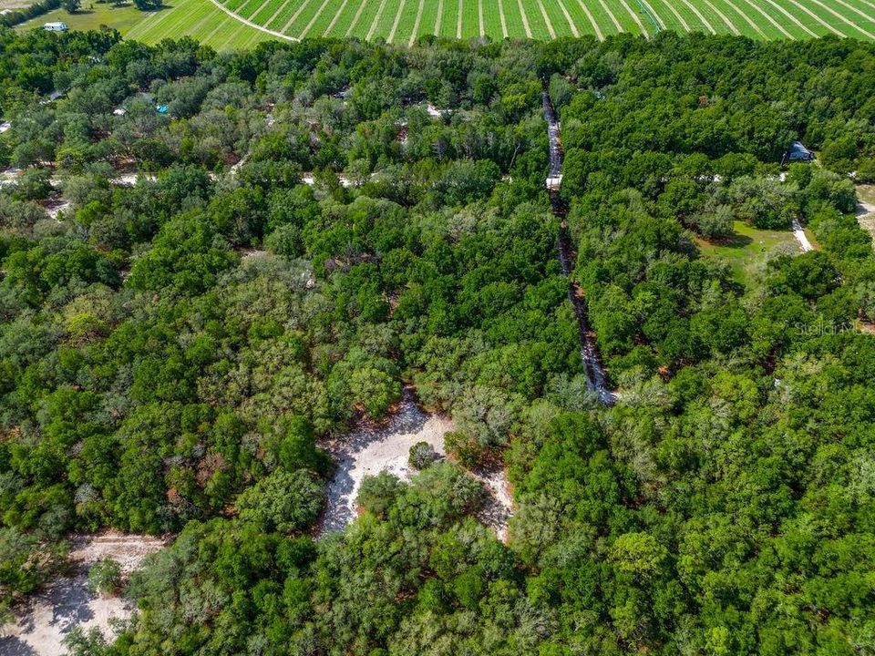 For Sale: $110,000 (4.73 acres)