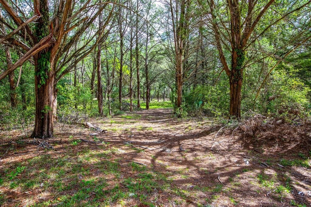 For Sale: $110,000 (4.73 acres)