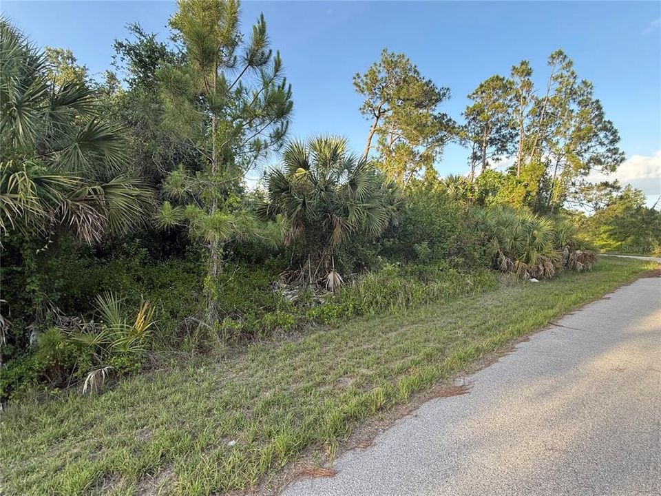 En Venta: $35,000 (0.31 acres)